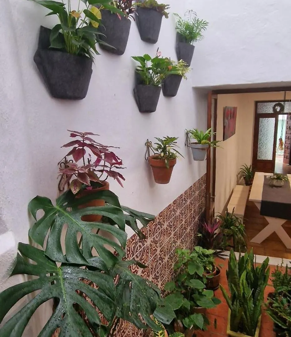 La Casa De Abuela Habitaciones Con Bano Compartido En El Casco Historico De Frigiliana 